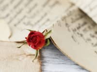 Valentines Day Red Rose Handwritten Love Letter