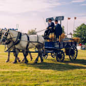 Newbury show Saturday 36 ketbjk