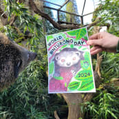 16 World Binturong Day poster 2024 rkipy5