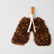 World No Tobacco Day Pair of Lungs made of Tobacco