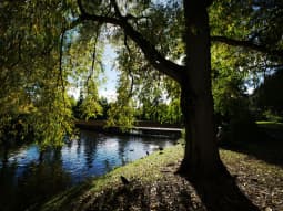 The lake at Kew 