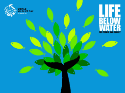 World Wildlife Day 2019 Life Below Water Poster Image