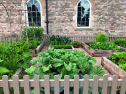 Landscaping a Natural Mind Spa Raised Beds Kitchen Garden