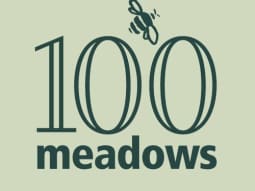 Wildflower Meadows Maintenance 100 Meadow Project