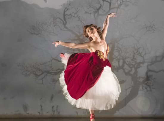 THE RED SHOES. Ashley Shaw Victoria Page . Photo by Johan Persson 3 vsizbx