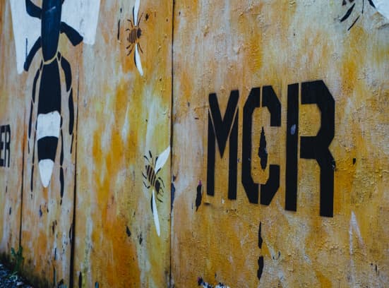 MCR bee wall art 