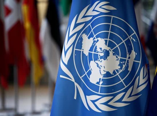 International Day of United Nations Peacekeeping UNP Flag