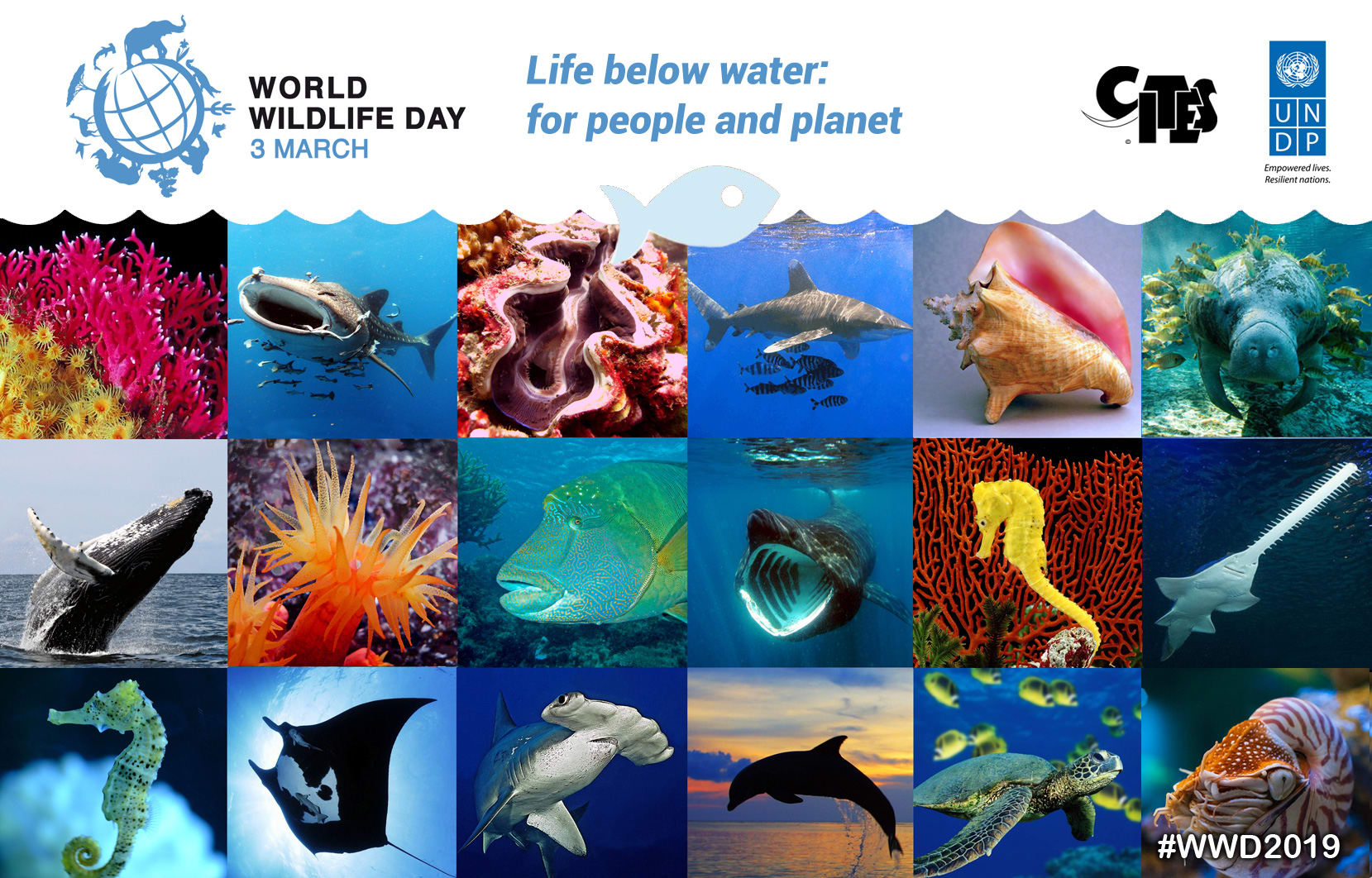 “Life below water: for people and planet” - from OX Magazine