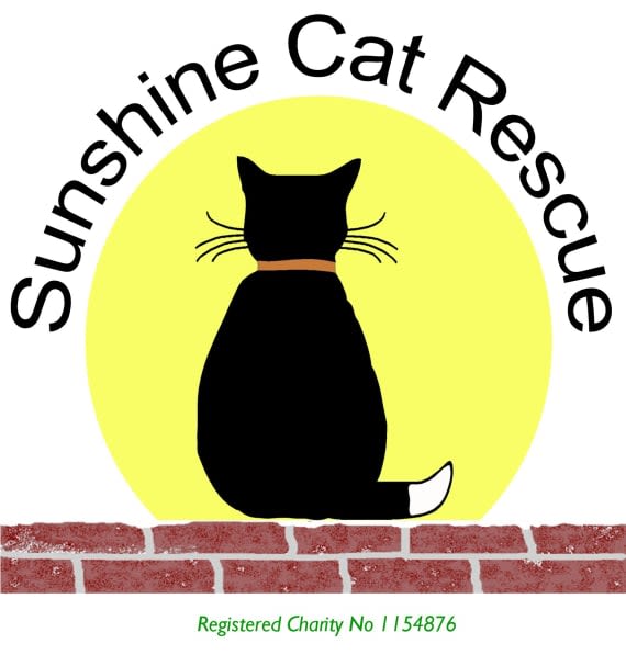sunshine cat logo fiof0g cd51kp