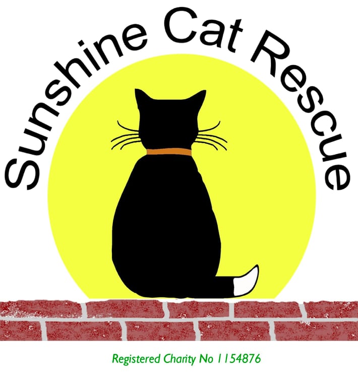 Sunshine Cat Rescue Responsible Pet Ownership