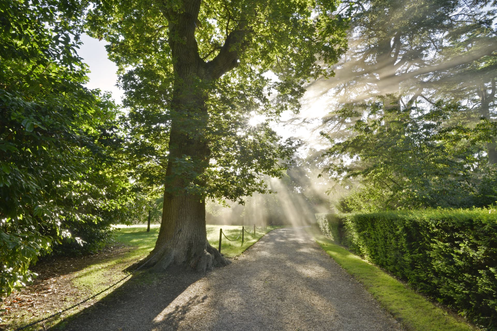 BlenheimPalace Park And Gardens Formal Gardens