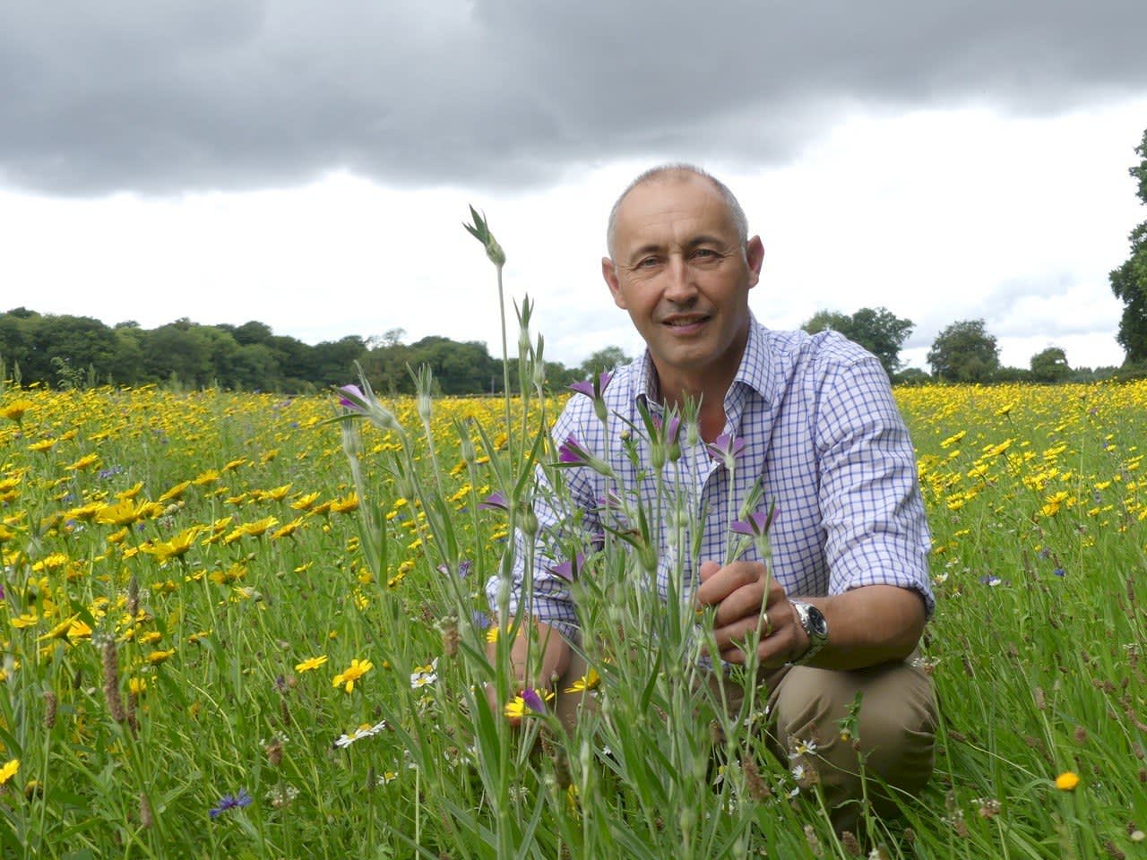 Wildflower Meadows Maintenance James Gillies