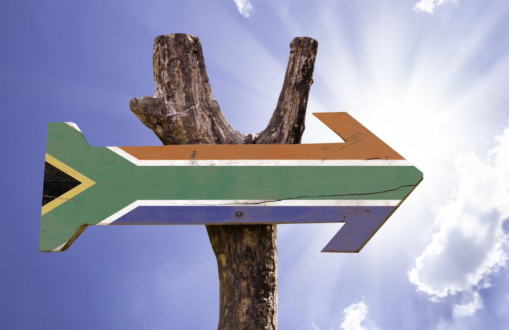 Review Durban Spice South African Wooden Flag Arrow