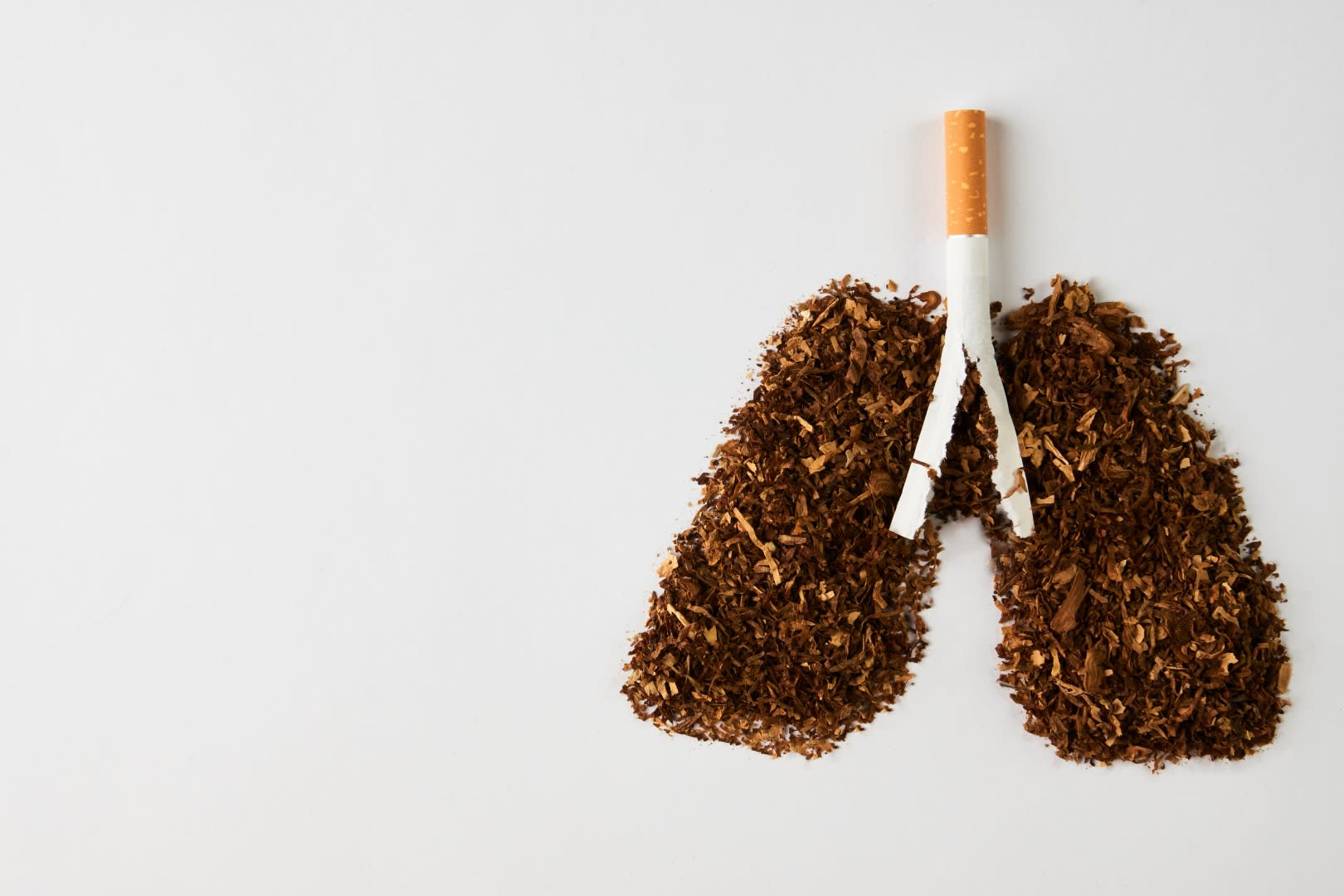 World No Tobacco Day Pair of Lungs made of Tobacco