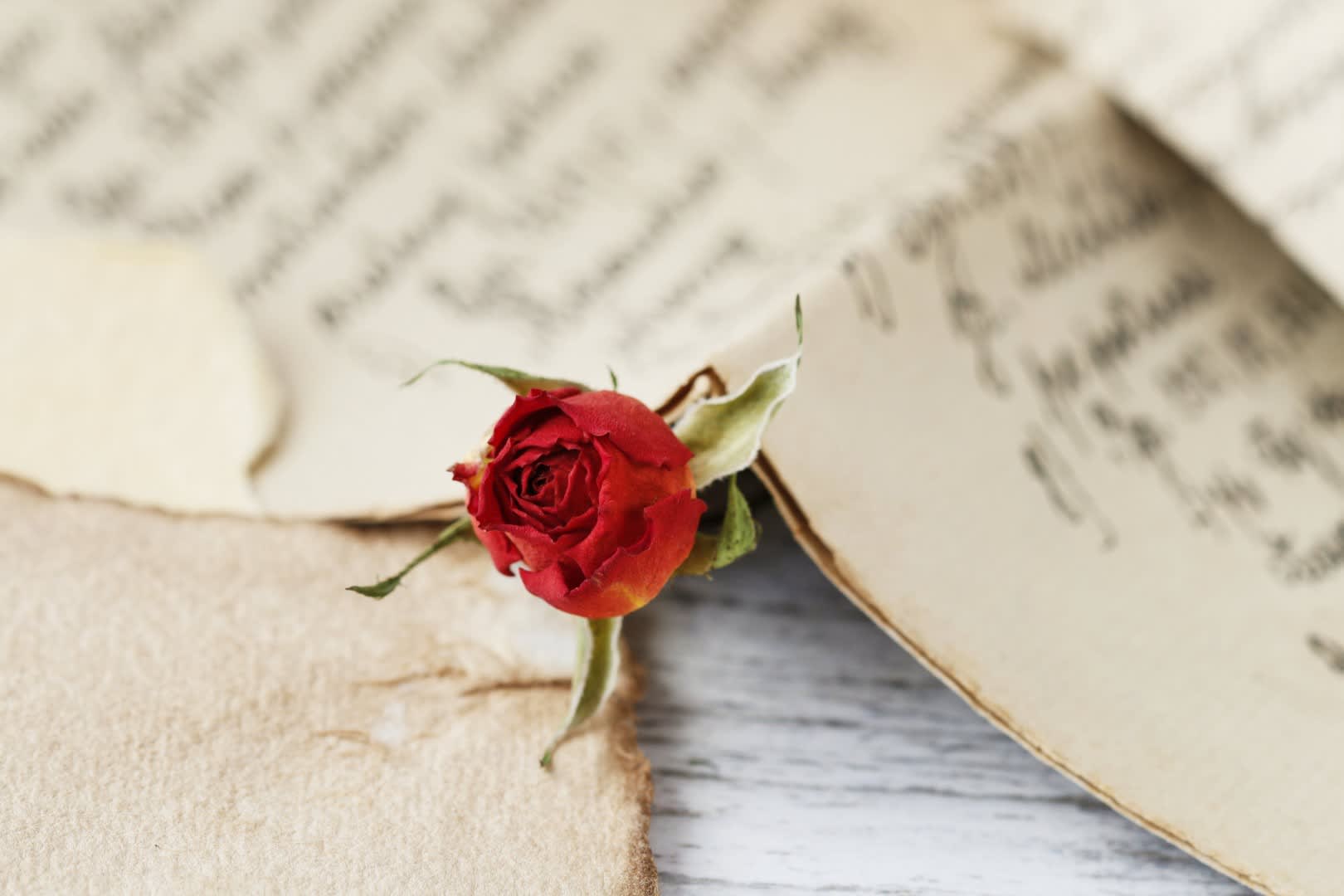 Valentines Day Red Rose Handwritten Love Letter