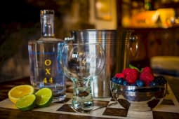 Mother’s Ruin Chalgrove Artisan Distillery OX44 with glasses and lime