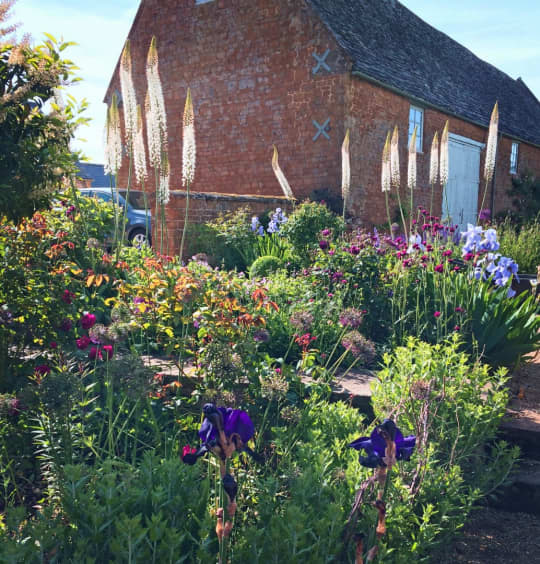 The Oxfordshire Gardener Flower Beds Garden Maintenance