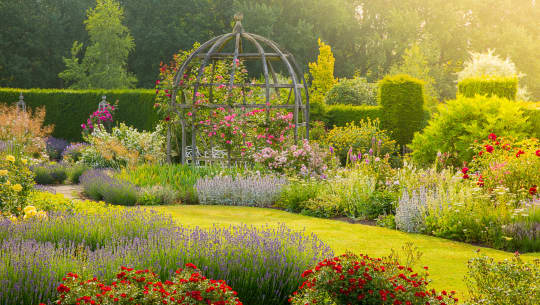 Waterperry Gardens Short Grass Tall Flowers and Pergola