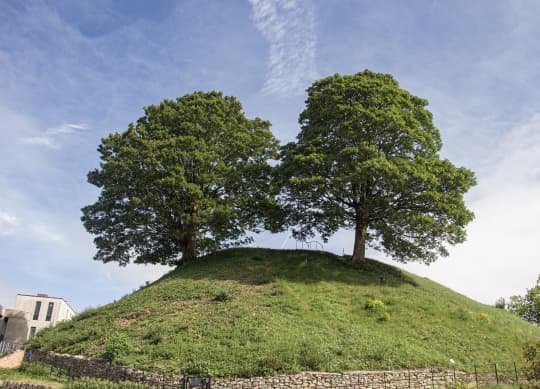 The Mound   Copy bwvuot