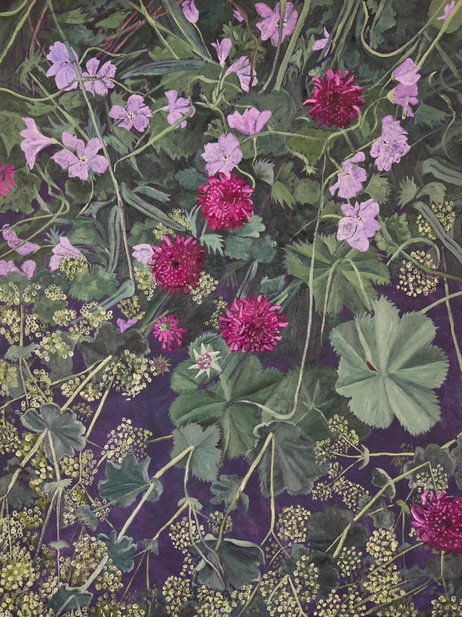 Endellion Lycett Green - Knautia, Geranium, Alchemilla, 122 x 91 cm, oil on linen. Thyme, 4 June to 6 September