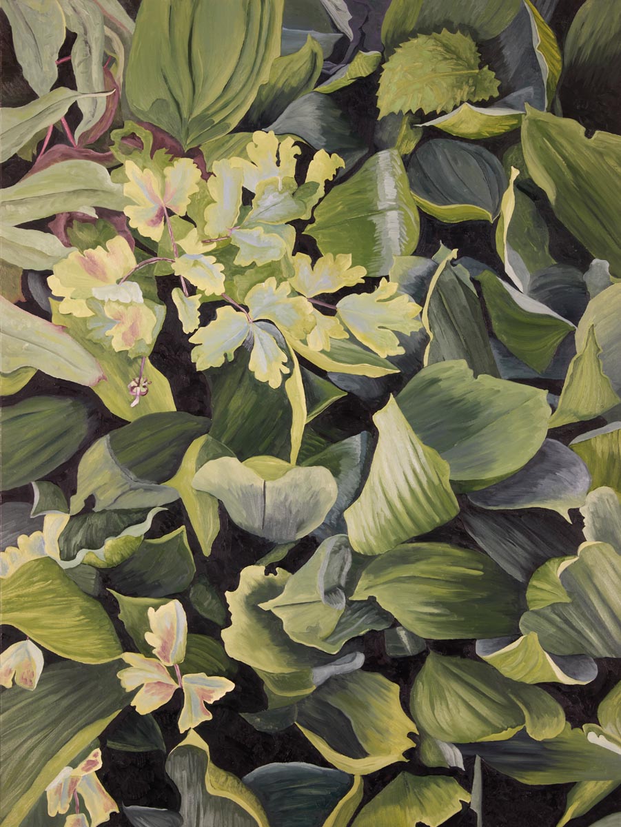 Mr Balston's Garden 91 x 122cm, oil on linen.  Thyme 4 June to 5 September.