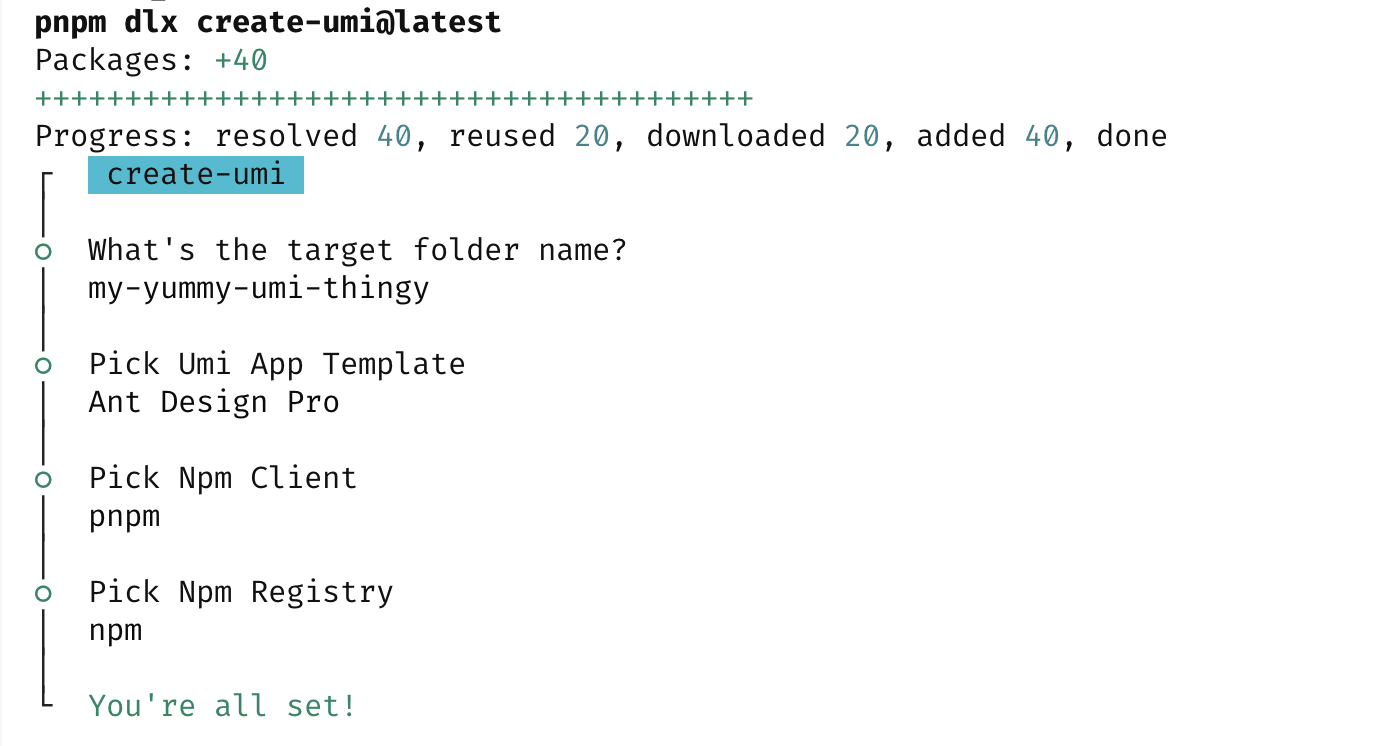 Output of the project scaffolding command