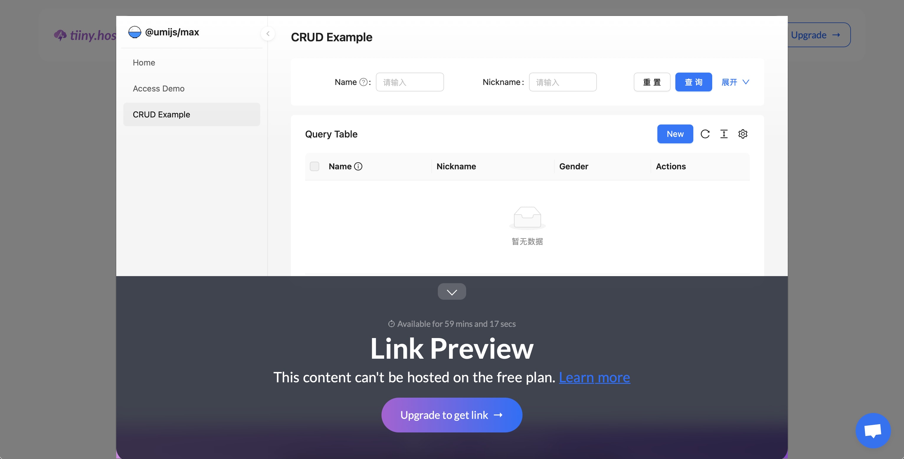 tiiny.host deployment UI