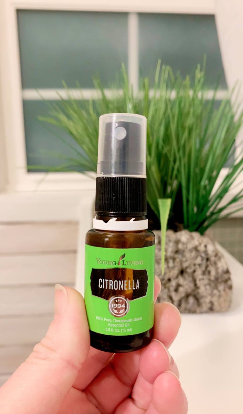 Essential Oil Travel Size Bug Spray DIY Recipe - Cloves and Citrus