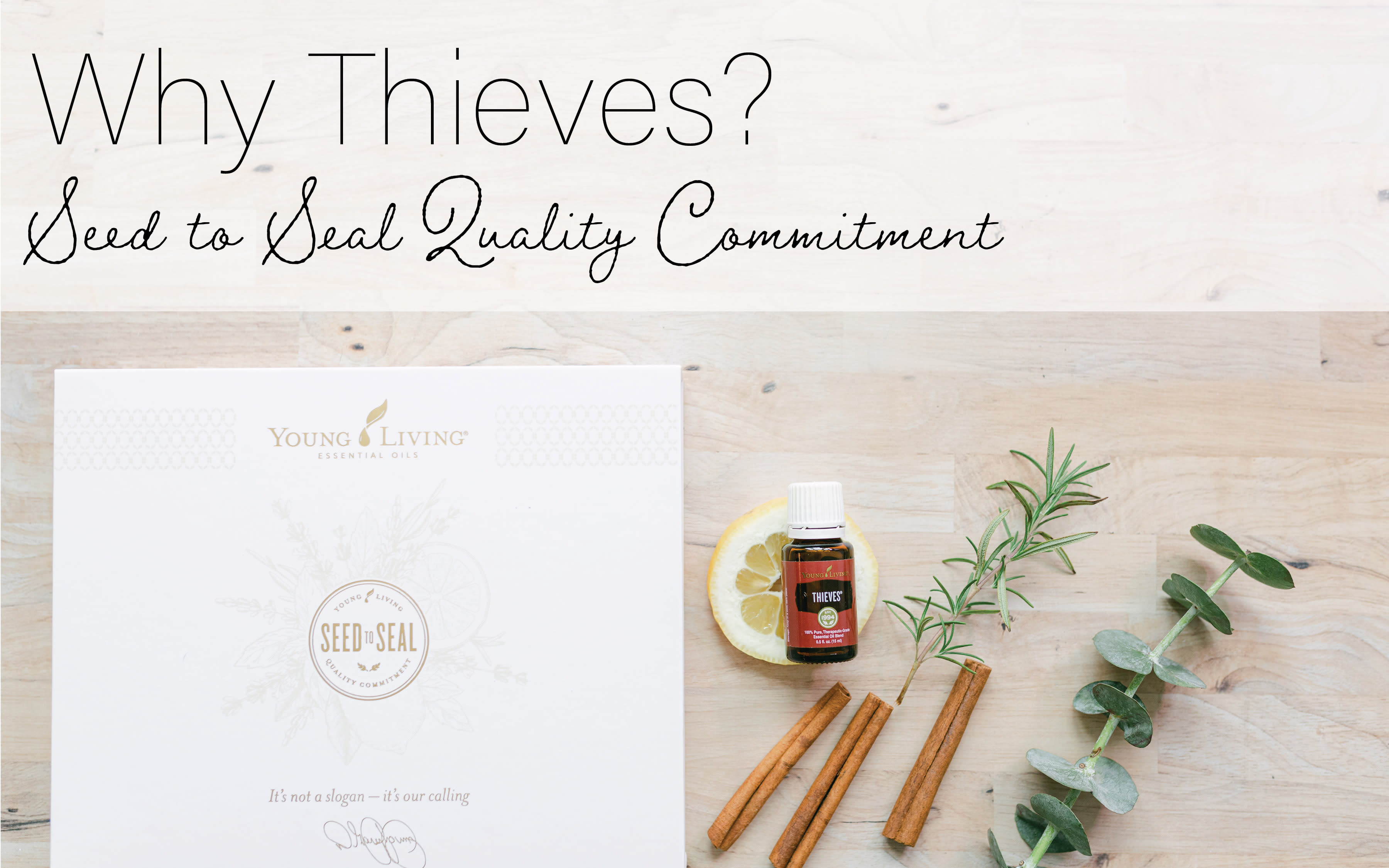  Thieves Essential Oil by Young Living - 15ml - A powerful  combination of Clove, Lemon, Cinnamon Bark, Eucalyptus Radiata, and  Rosemary essential oils - A Refreshing Breathing Experience : Health &  Household
