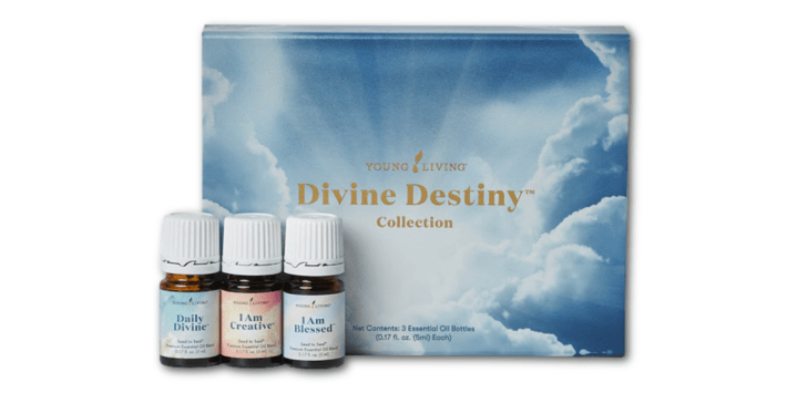 スーパーセール中： Divine Destiny Collection | labiela.com