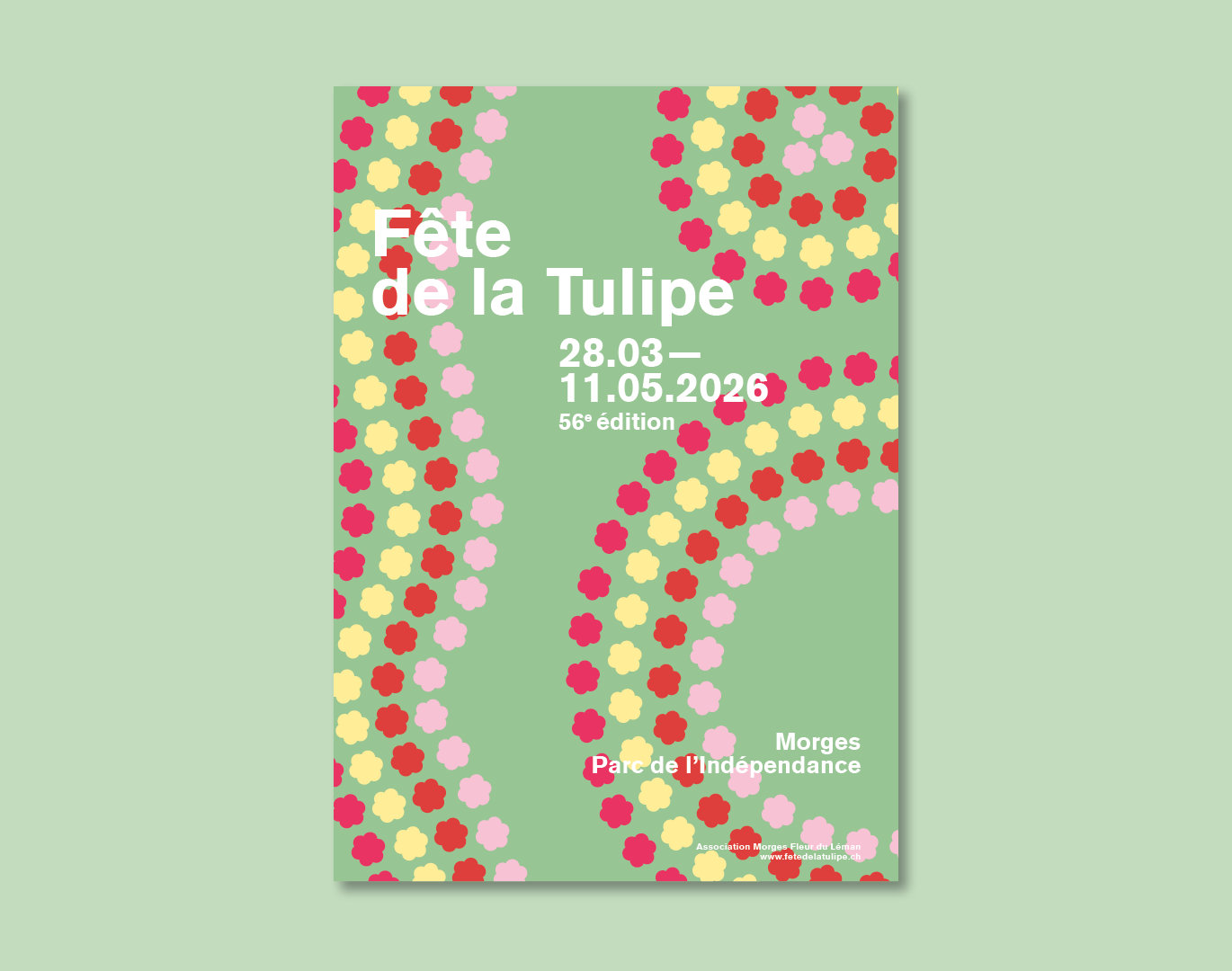 project tulipe