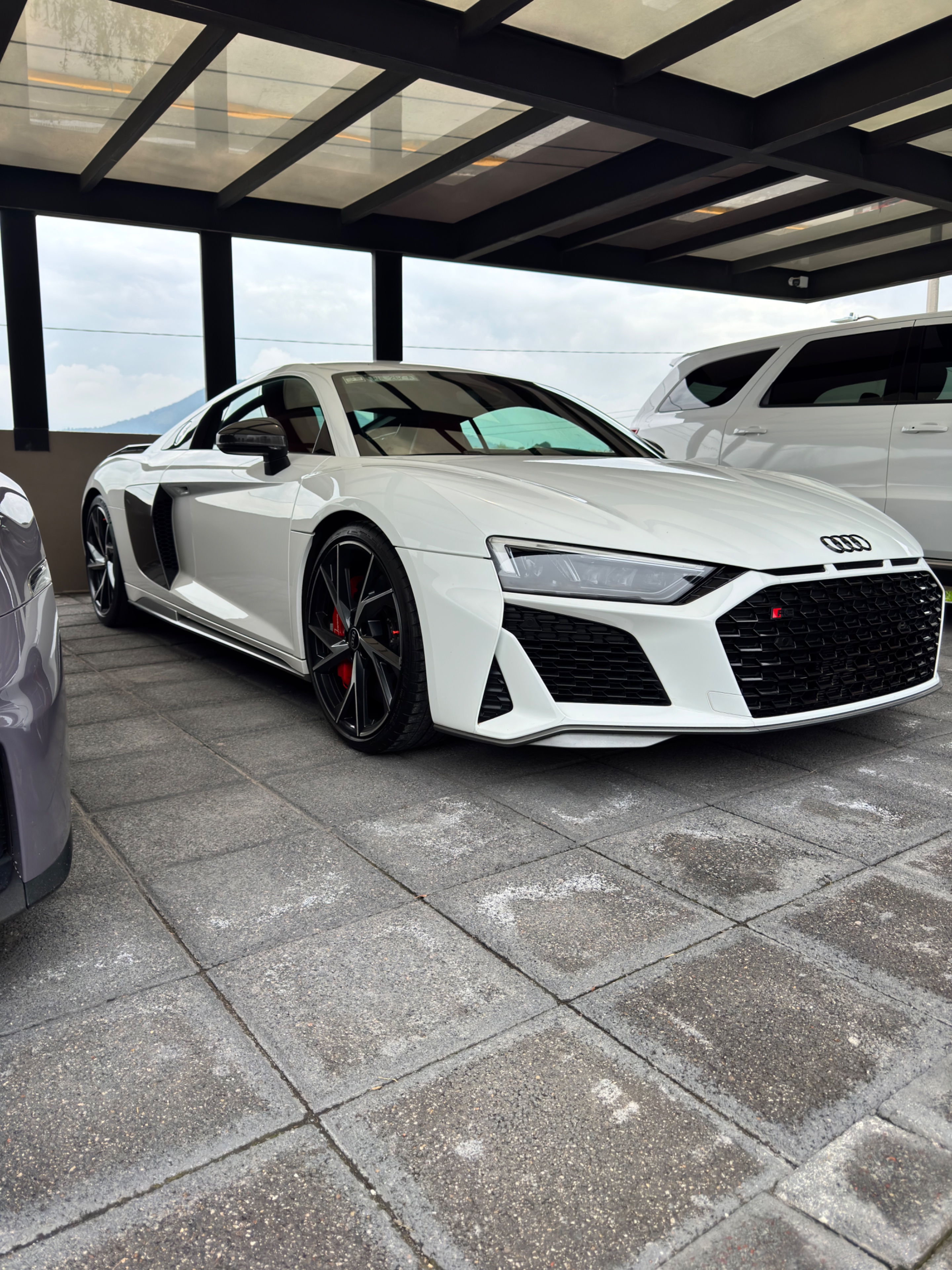 Audi R8 V10 (Blanco Ibis · Full PPF) 2022 - 19