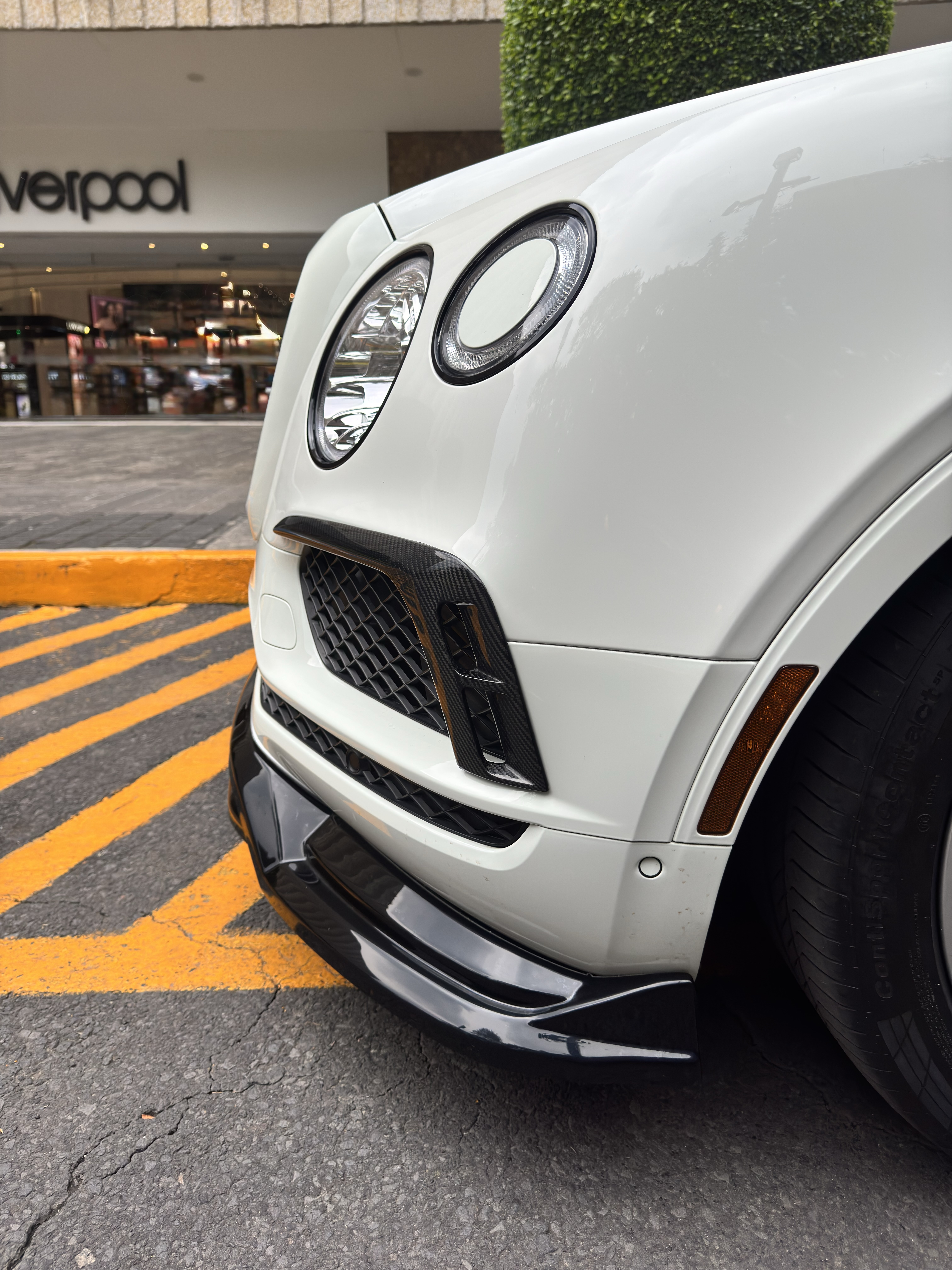 Bentley Bentayga (Blindaje NIJ-IIIA) 2019 - 6