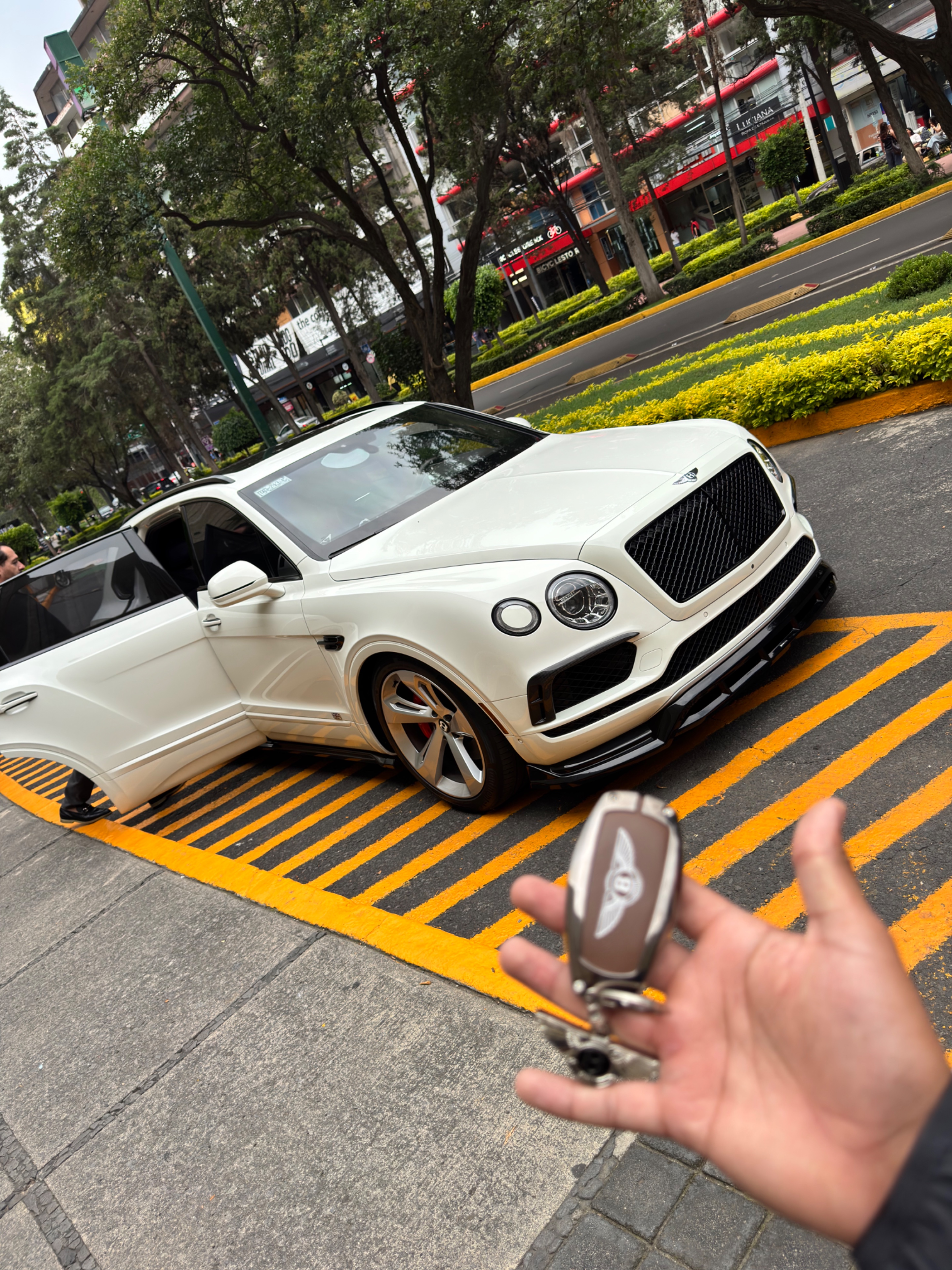 Bentley Bentayga (Blindaje NIJ-IIIA) 2019 - 11