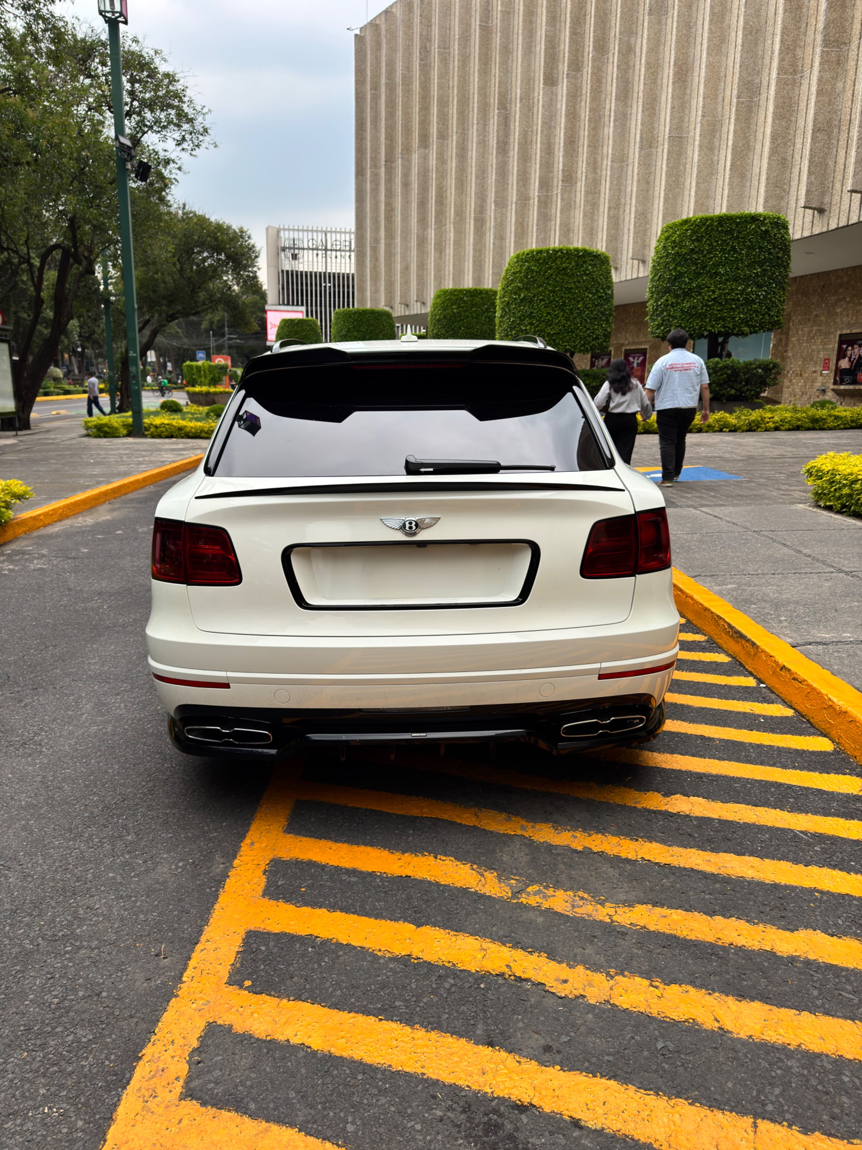 Bentley Bentayga (Blindaje NIJ-IIIA) 2019 - 14