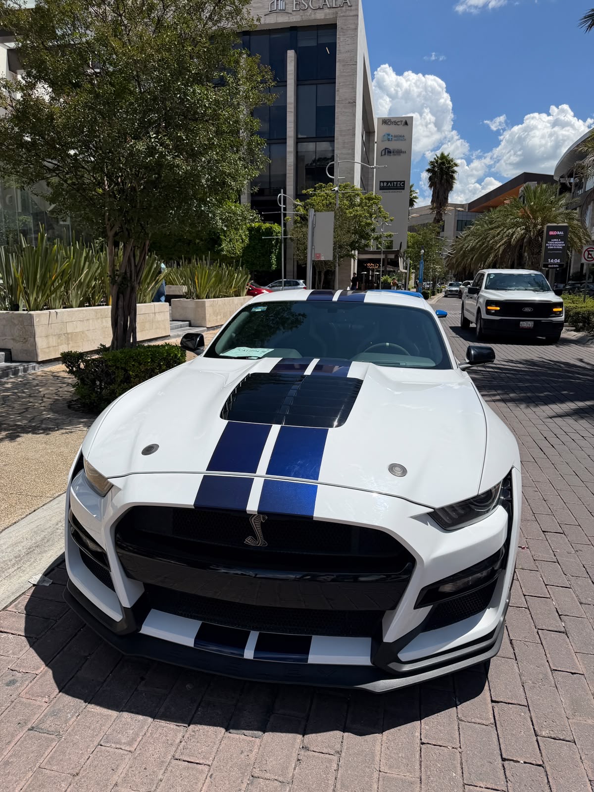 Shelby GT500 Predator (Edición Especial) 2022