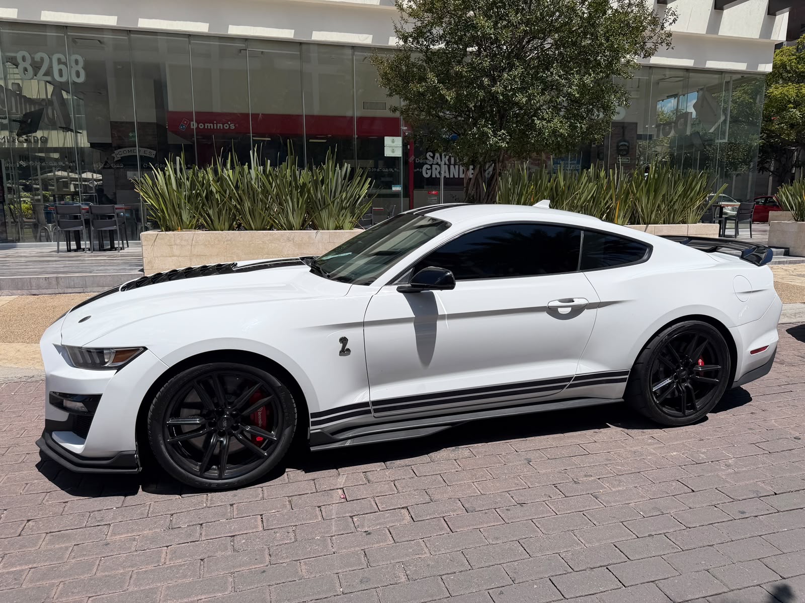 Shelby GT500 Predator (Edición Especial) 2022 - 3