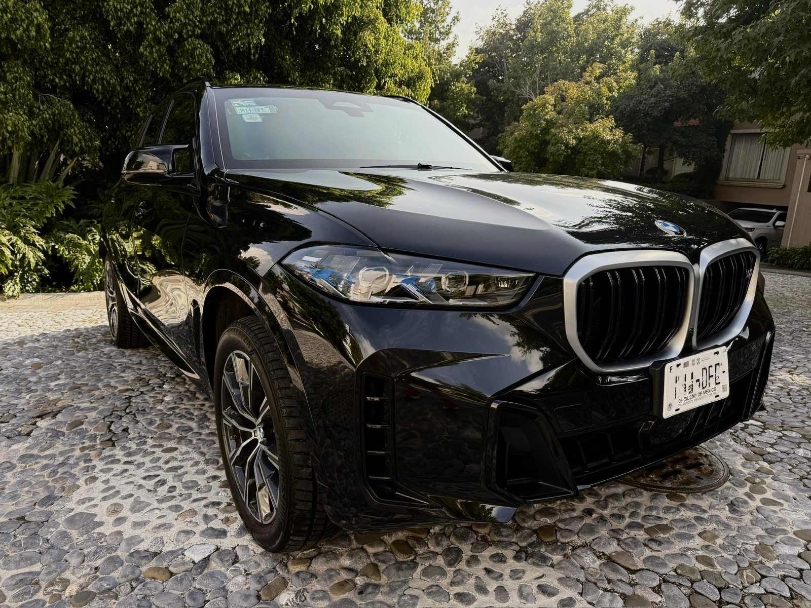 BMW X5 M60i Protection VR6 (Blindaje de Fábrica · 7.62x39mm) 2024 - 4