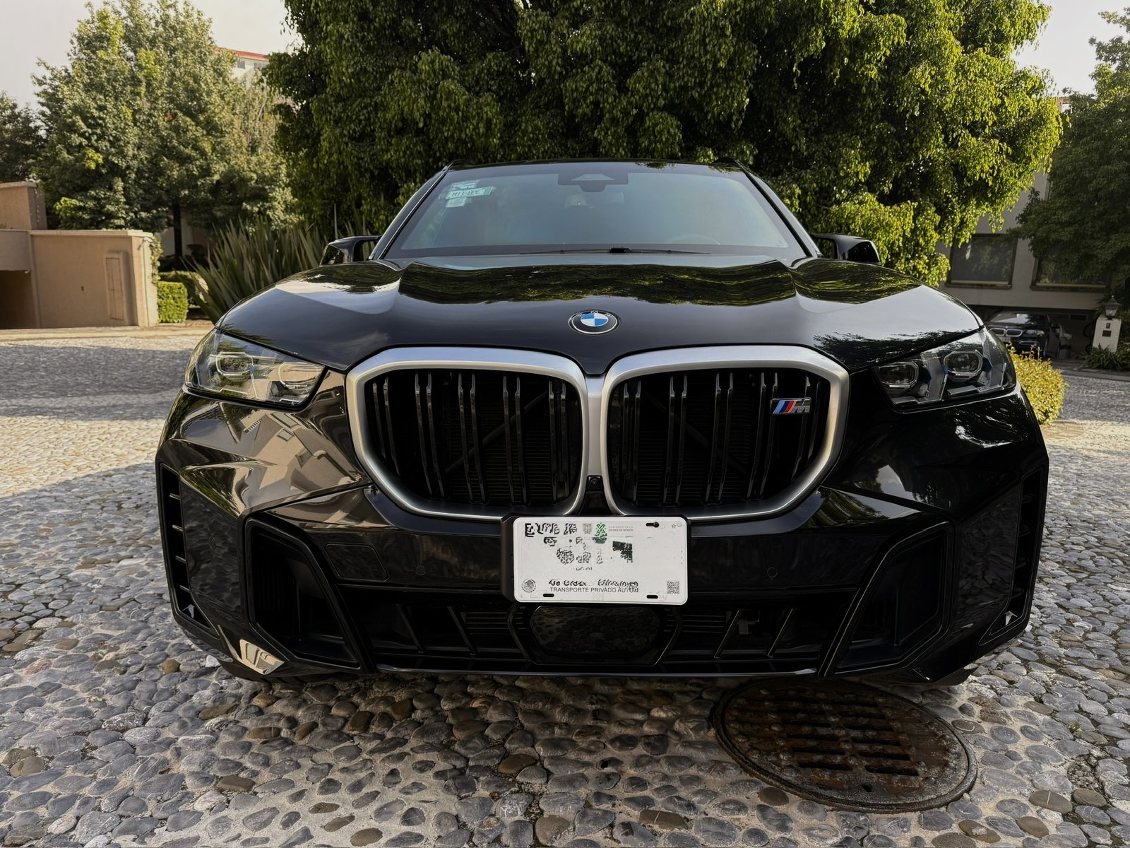 BMW X5 M60i Protection VR6 (Blindaje de Fábrica · 7.62x39mm) 2024 - 6