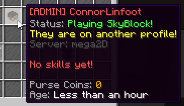 そのプレイヤーに関する様々な情報を確認できます