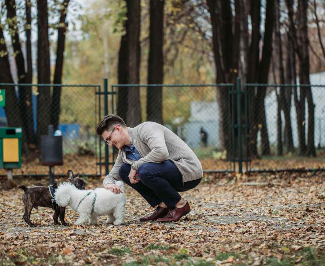 Man petting two dogs in a park at Pritchard Park Place in Racine, Wisconsin