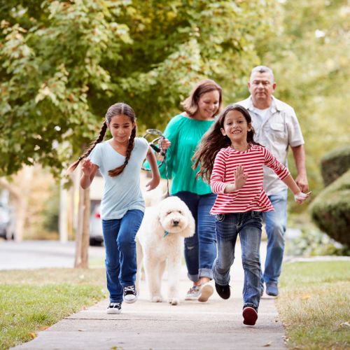 Family walking with dog in pet-friendly community at Jefferson Manor Townhomes in Fairport, New York