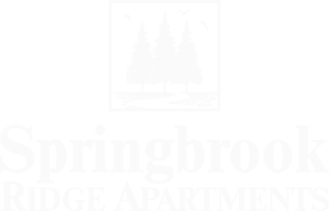 Springbrook Ridge Apartments