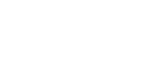 The Reverie at Lake Boone