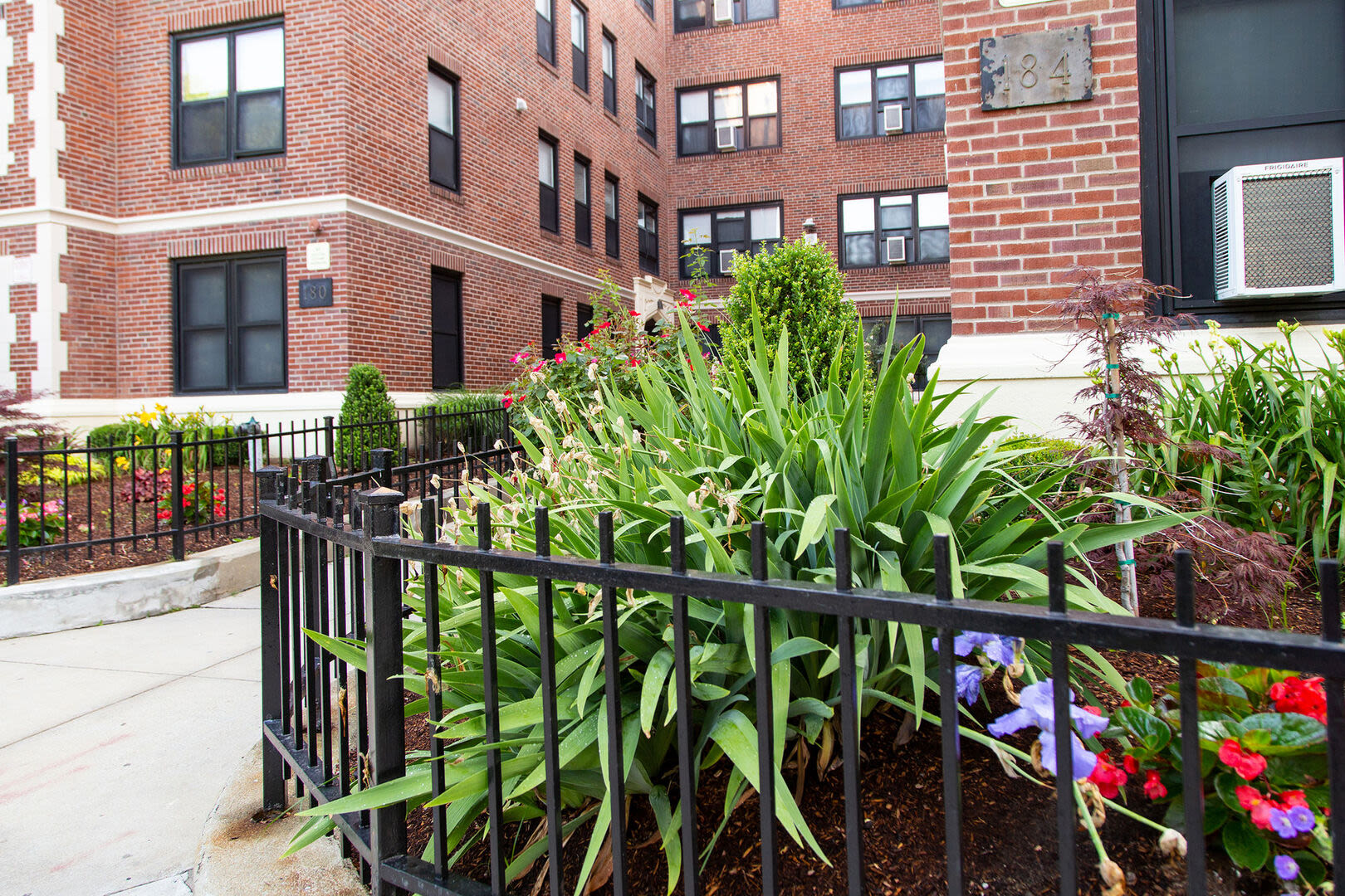Community plants at Blue Elm United Estates in Dorchester, Massachusetts