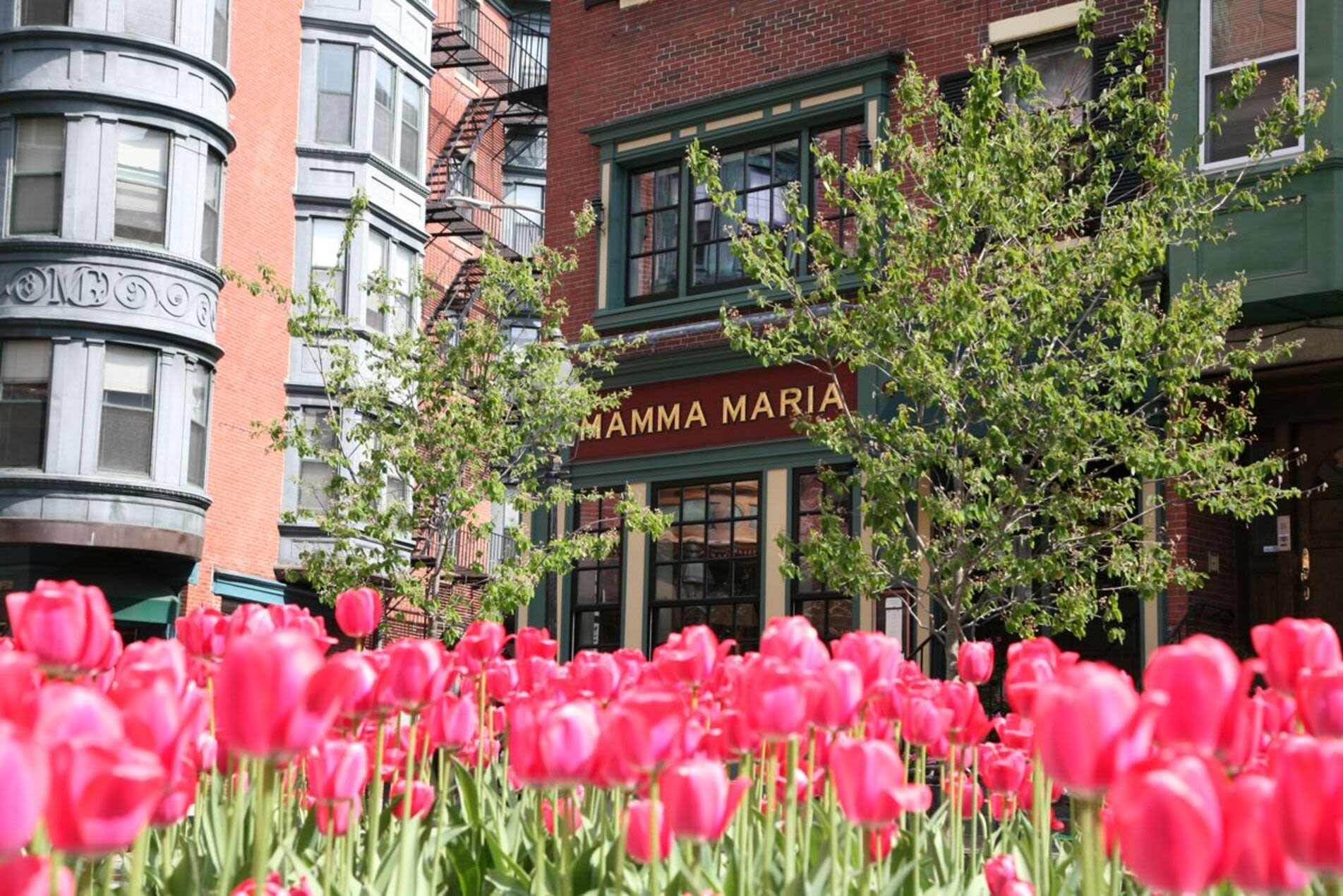 Community building view from rose park at Mercantile Wharf in Boston, Massachusetts