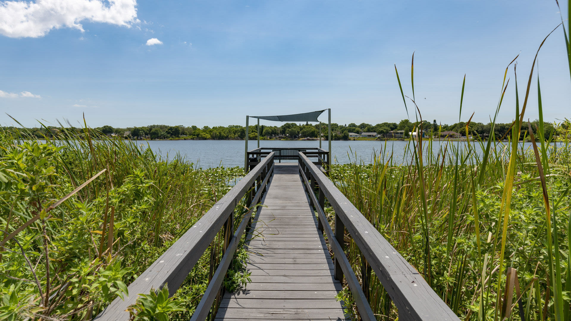 Lakeview at Palm Harbor 2 of 2