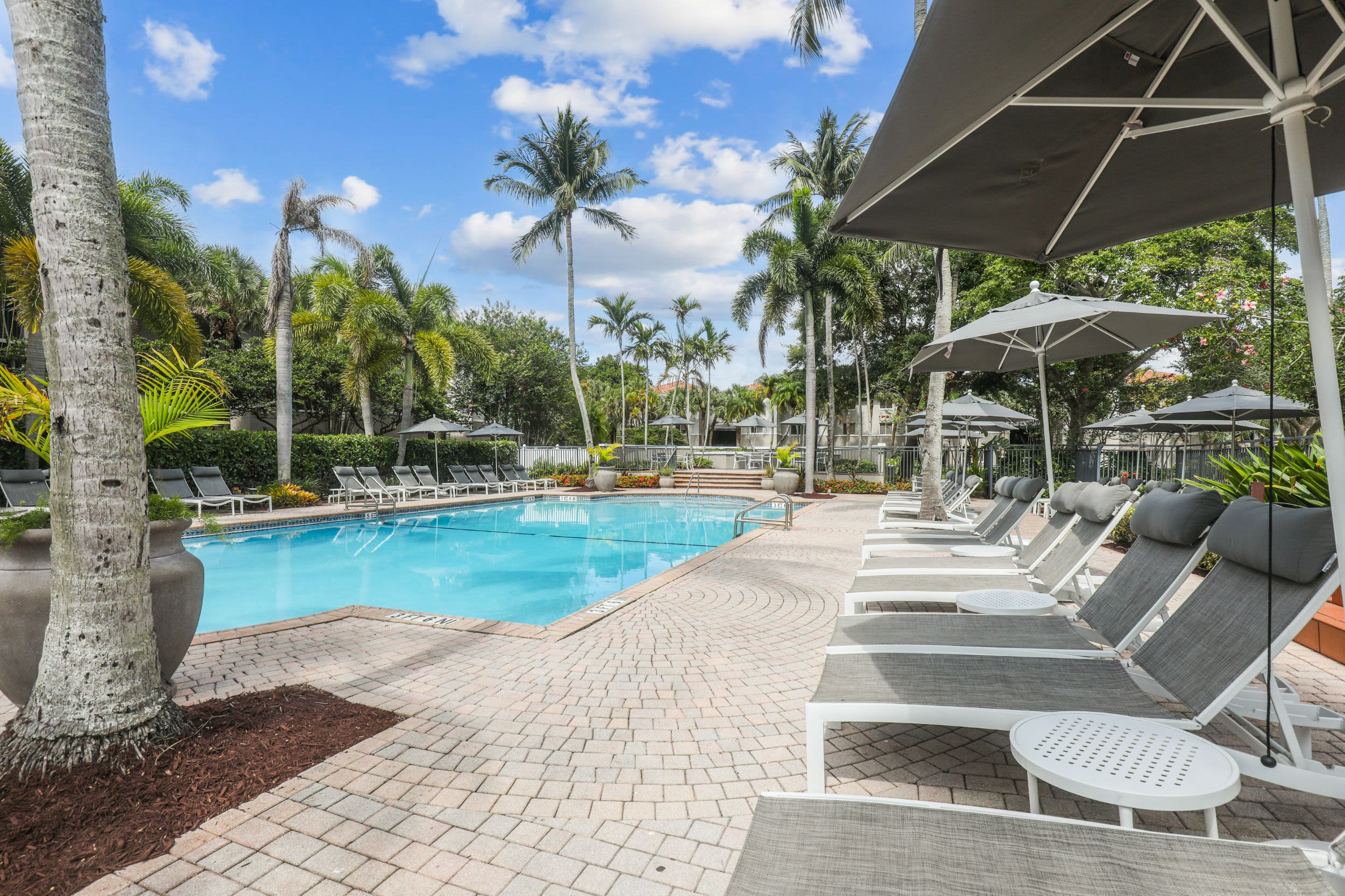 Pool at Coconut Palm Club Apartments (4 of 4)