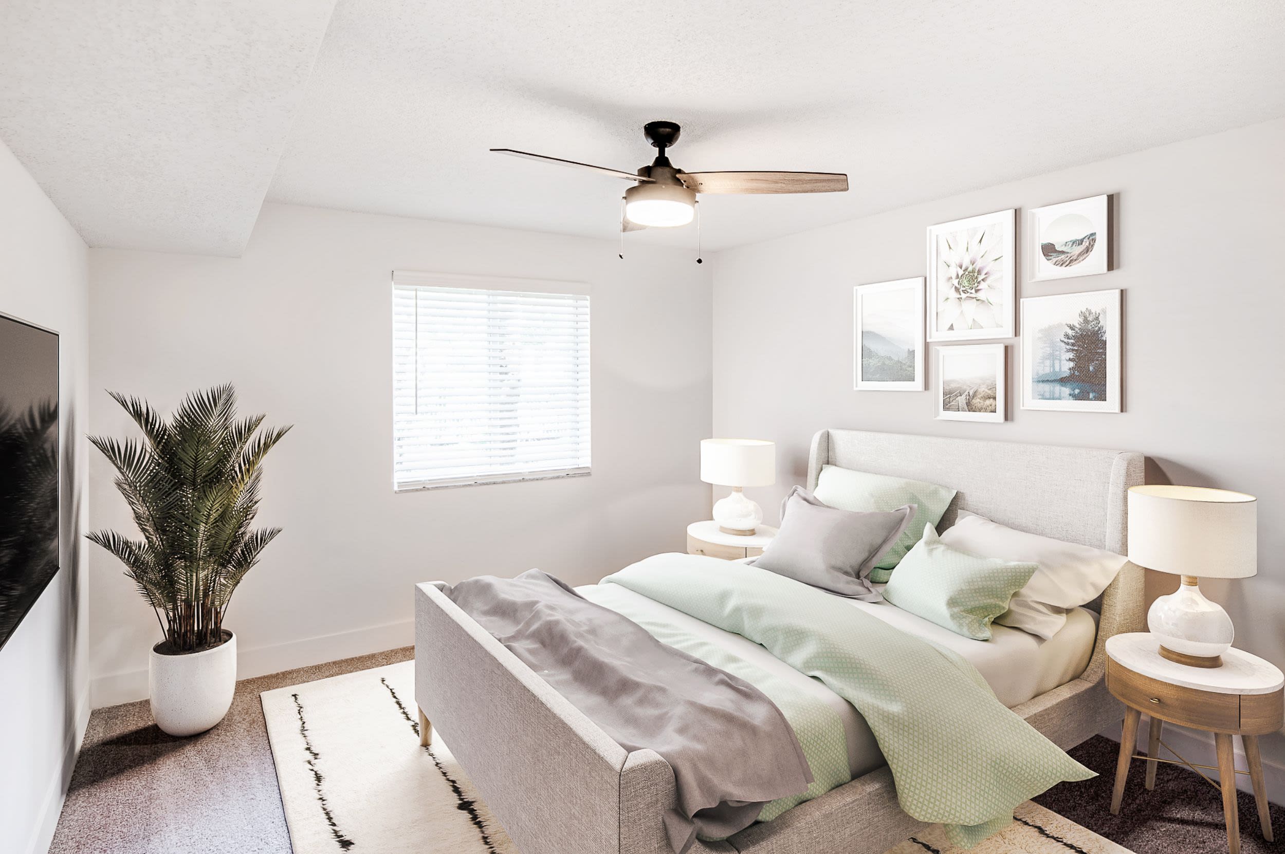Coconut Palm Club Apartments 6 of 12