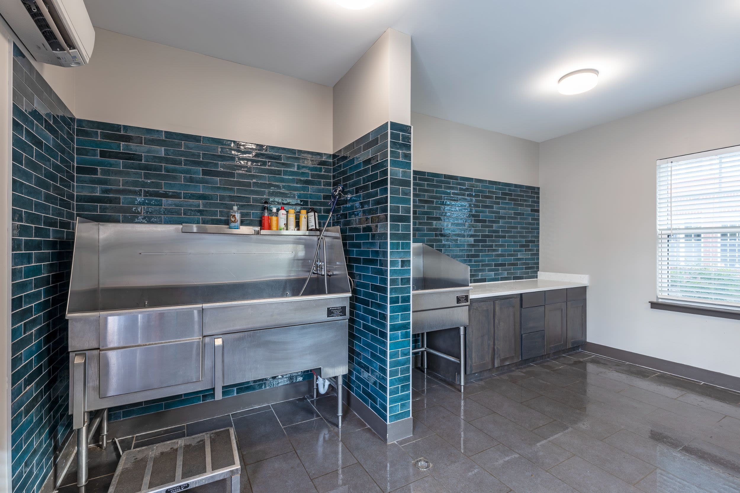 The Ivy Apartment Homes 9 of 12